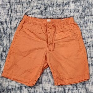 GAP Men's Orange Flat Front Shorts
